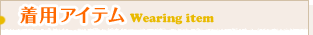���p�A�C�e��Wearing item