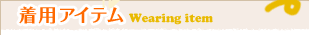 ���p�A�C�e��Wearing item