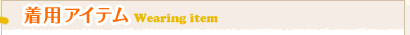 ���p�A�C�e��Wearing item